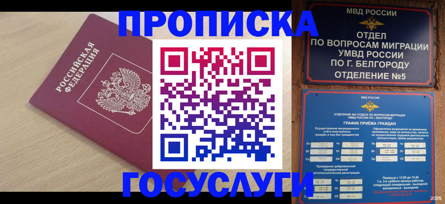 прописка законно в Тайге